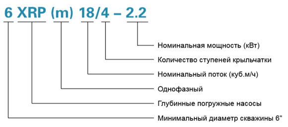 6XRP leo rashifrovka