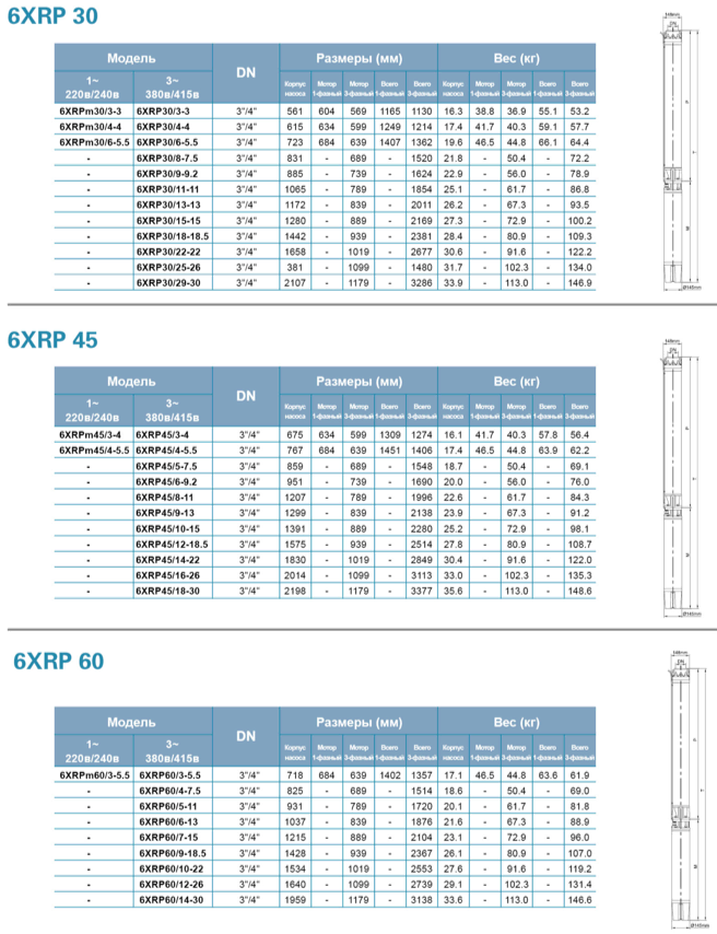 6XRP leo razmeri 2